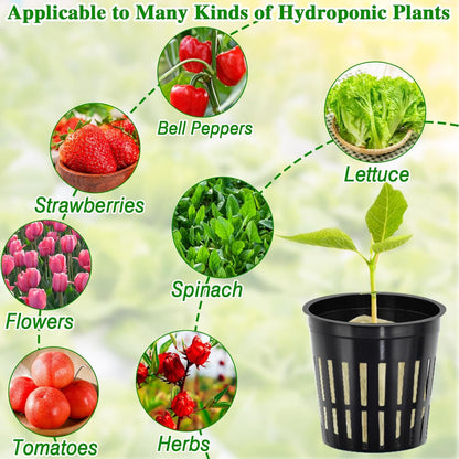 Halatool 24 x 2-Inch Rockwool Cubes & 24 x 3-Inch Net Cups - Hydroponics Starter Kit for Plants Cloning, Seed Starting, and Patio Gardening - Durable, Effective, Great Gift Option