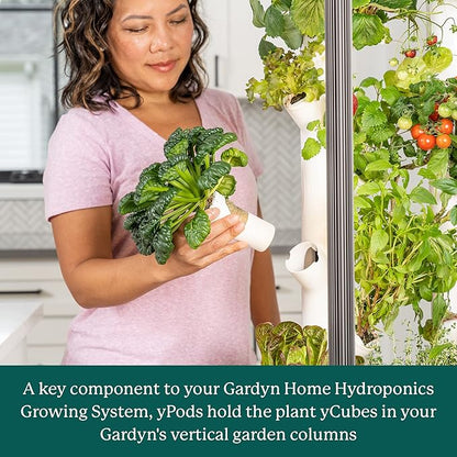 Gardyn yPods - Use with All Home Vertical Indoor Garden Hydroponics Growing System Kits - ABS-Plastic yPods for Vertical Hydroponic Garden Towers - Gardyn Vase Hydroponic Accessories - 10 Pack