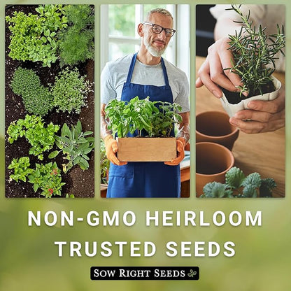 Sow Right Seeds - Large Herb Garden Seed Collection for Planting - Basil, Chives, Parsley, Lavender, Oregano, Dill, Lemon Balm, Chamomile & Thyme - Non GMO Heirloom - Plant Outdoors or Indoors