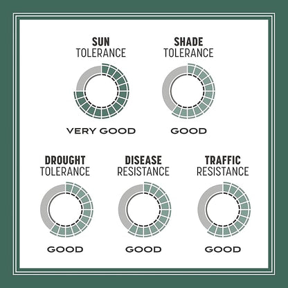 Pennington Kentucky 31 Tall Fescue Penkoted Grass Seed 3 lb, Green (Pack of 2)