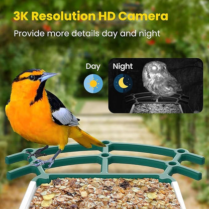 Bird Feeders for Outdoors, Smart Bird Feeder with Camera Solar Powered, AI Species Identification, 3K Video Live Stream Camera, 5Mp HD Night Vision, Instant Arrival Alerts
