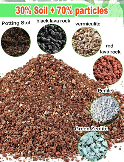 TOYPOPOR Succulent Soil, Cactus Potting Mix 2 Pounds/1 Quart, High Drainage, Pre-Mixed Ready to Use for All Succulent Varieties, Indoor Plants, Bonsai, Terrarium, Houseplant, 70% Particles 30% Soil
