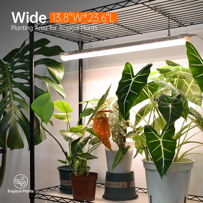 Bstrip Plant Shelf with Grow Light with Timer, Plant Stand with Adjustable Rack and Wheels, 3 Pack 72W T8 2FT Full Spectrum Grow Lights for Indoor Plants, Seed Starting, Seed Tray, 23.5"x13.8"x59"