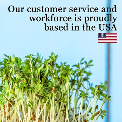 Strawberry Clover - 1 LB ~270,000 Seeds - Hay, Silage, Green Manure or Farm & Garden Cover Crops - Attracts Pollinators