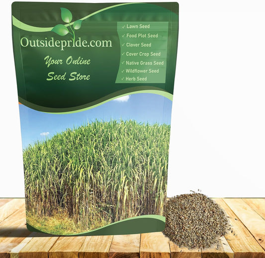 Outsidepride Switchgrass Seed - 25 lbs. Perennial Hardy, Drought & Flood Tolerant Native Grass Seed Ideal Fast-Growing Grasses for Erosion Control, Wildlife Forage & Food Plots, Thrives in Poor Soil