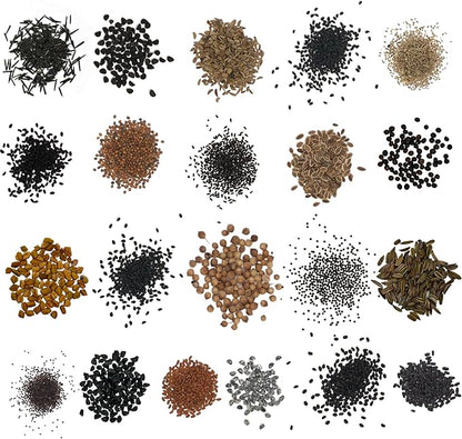 Organic Herb Seeds Variety Pack - 35 Individual Packs - 2025 Season - Basil, Cilantro, Dill, Thyme, Parsley and More! for Indoor & Outdoor Planting (Non-GMO, Certified Organic)