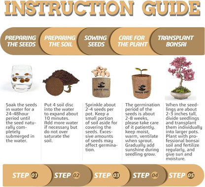 Indoor Bonsai Garden Starter Kit, 5 Seeds Growing into Red Maple, Wisteria, Black Pine, Judas Tree, Acacia, Including Complete Gardening Planters & A Wooden Box, Christmas Gifts for Women