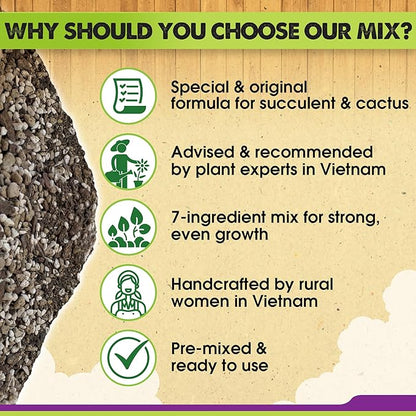 DUSPRO Succulents Soil Potting Mix – 7 in 1 Ingredients Well-Draining, Nutrient-Rich Cactus Potting Soil for Succulents and Cacti, Indoor & Outdoor Use, Ready to Use, Supports Healthy Root Growth, 2QT