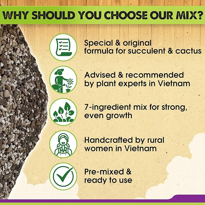 DUSPRO Succulents Soil Potting Mix – 7 in 1 Ingredients Well-Draining, Nutrient-Rich Cactus Potting Soil for Succulents and Cacti, Indoor & Outdoor Use, Ready to Use, Supports Healthy Root Growth, 4QT