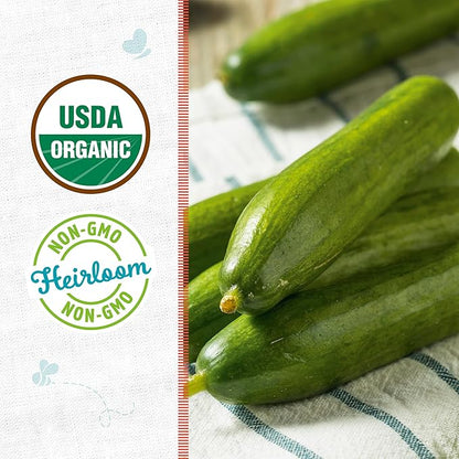 Back to The Roots 100% Organic Heirloom Seeds - Standard Cucumber Value Pack (3g Total)