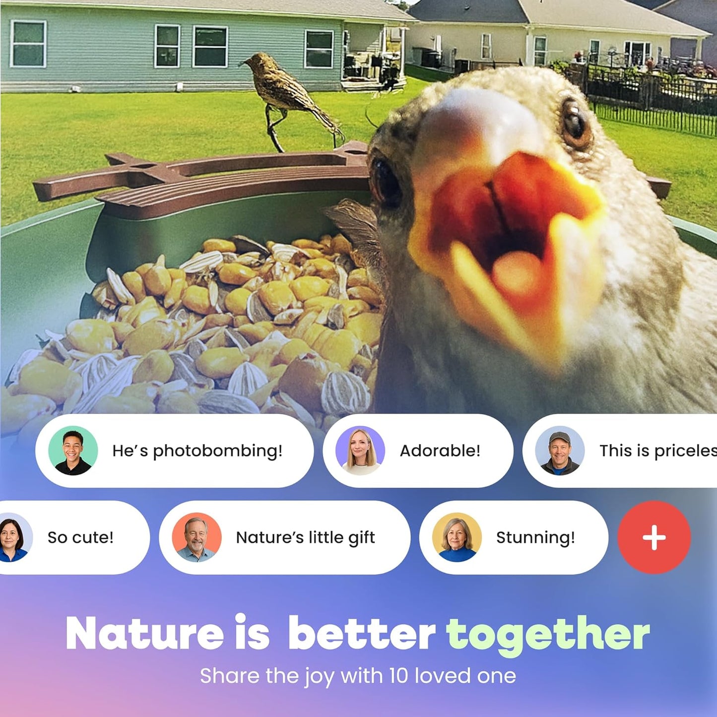 Bird Feeder with Camera – AI Identifies 10,000+ Birds, Real-Time Alerts & Two-Way Audio – Solar & Wired Powered, IP65 Waterproof for Backyard, Garden, Patio – Ideal for Bird Lovers