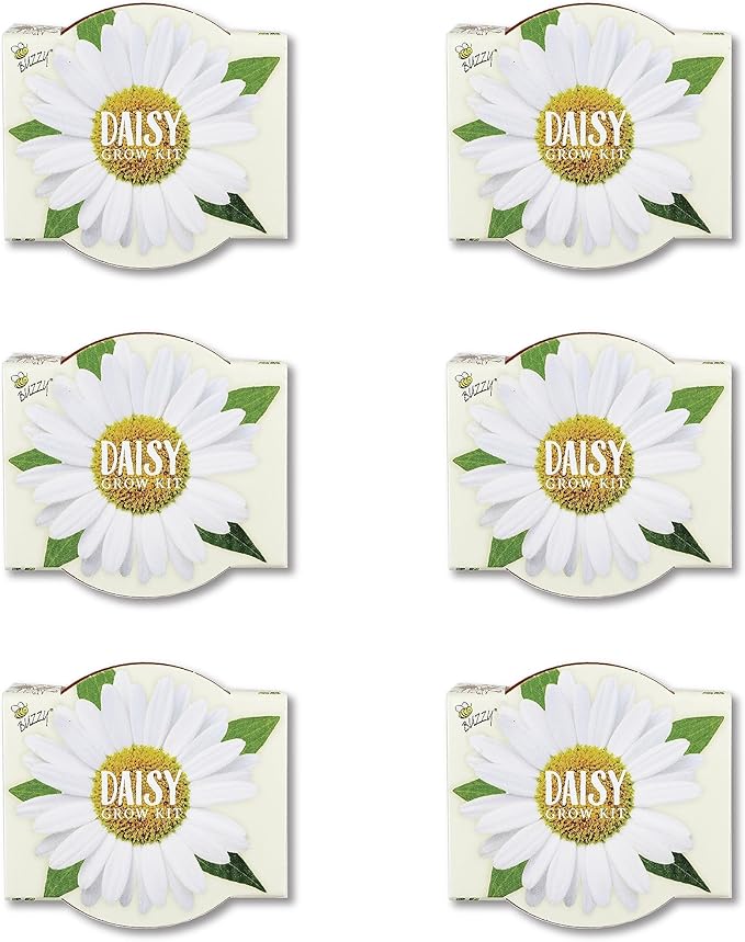 BUZZY Seeds Daisy Daydream Collection Mini Terracotta Grow Pots 6-Pack, All-in-One Starter Kit with Seed Packs and Growing Medium, Wedding Favors, Gardening Gifts, Stocking Stuffer