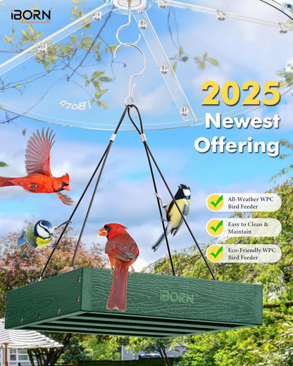 iBorn Platform Bird Feeder Tray Bird Feeders for Outdoors 10.6"x10.6" Platform Feeder with Large Capacity 3 LBS, Recycled Plastic & Cedar Look, Waterproof, Green