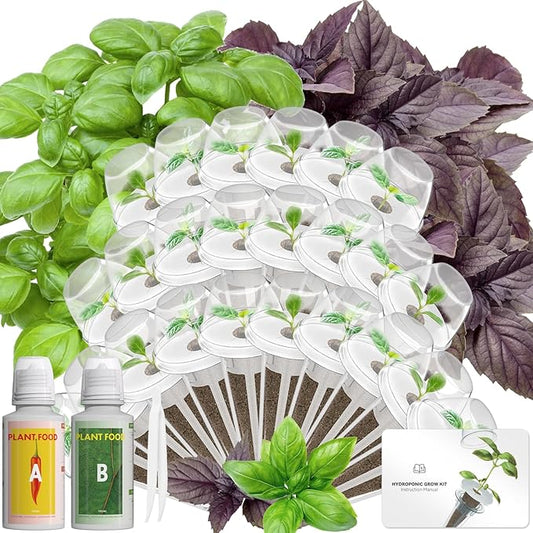 Hydroponics Seed Pod with Genovese Basil & Purple Basil, 24 Pods Complete Kit with Sponge, Basket, Dome, Label, Compatible with AeroGarden, Ahopegarden, GARDENCUBE, iDoo & MUFGA Indoor Smart Gardens