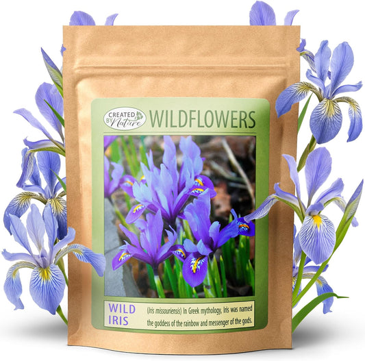 Created By Nature Wild Iris Seeds, 400 Purple Perennial Flower Seeds