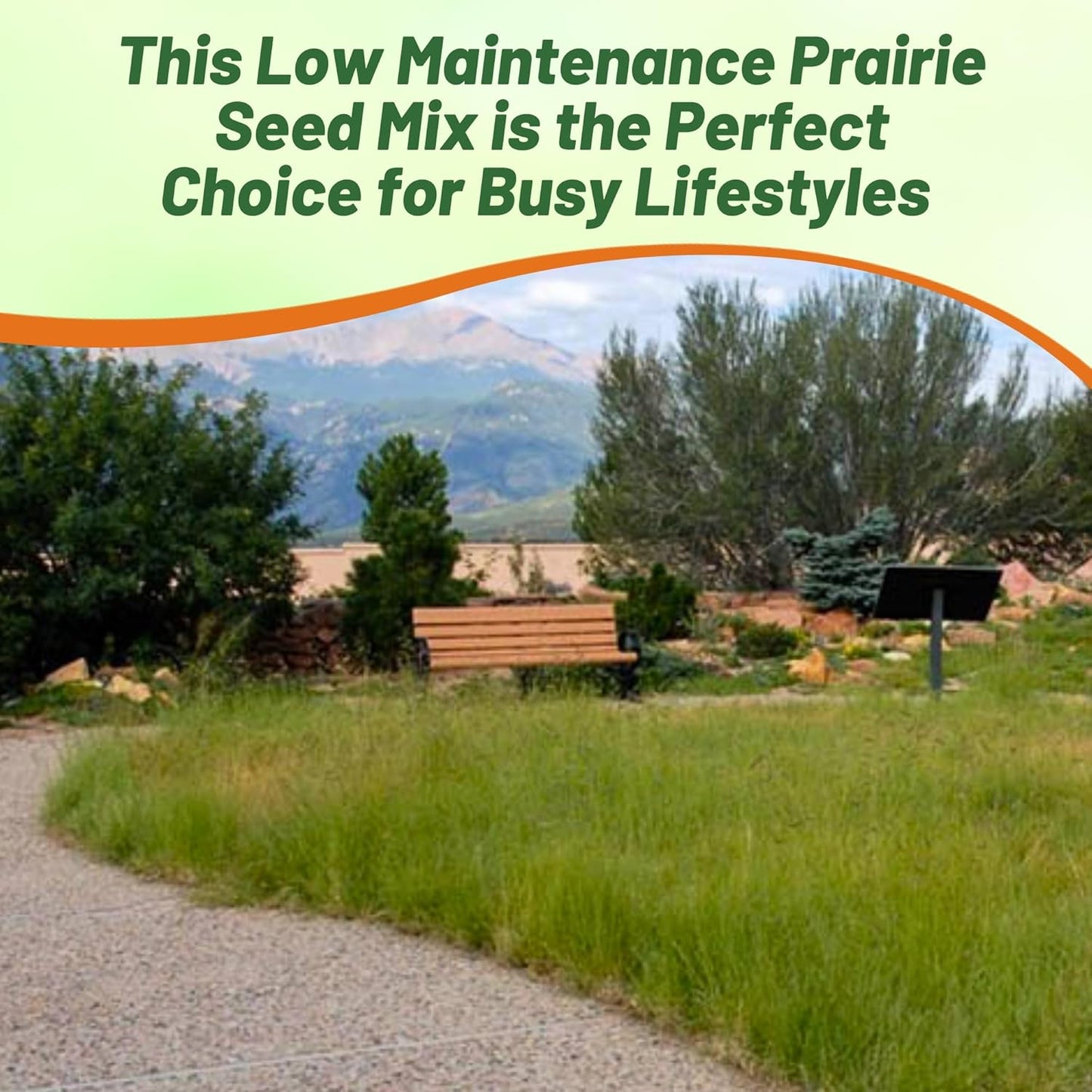 Outsidepride Perennial Short Native Grass Seed Mix - 25 lbs. Premium Mix of Blue Grama, Buffalo, Sideoats Grama, & Sheep’s Fescue Grass Seeds for Low-Maintenance, Heat & Drought-Tolerant Landscaping