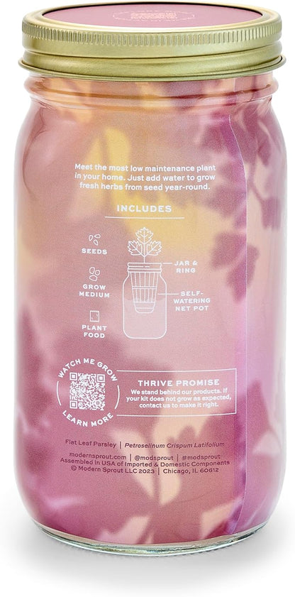 Modern Sprout Mason Garden Jar - Self-Watering Hydroponics Growing System Kit with Organic Herb Seeds - Jar Planter for Indoor Herb Garden - Seed Starter Kit - Home Decor & Gifting - Parsley