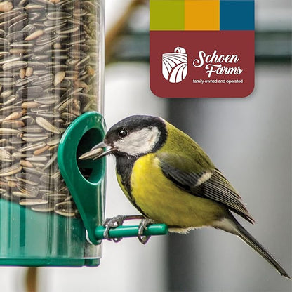 Schoen Farms Striped Sunflower Seeds – Hulled Wild Bird Food – 3 lb Bag – Clean, No-Mess Bird Seed for Finches, Jays & Cardinals