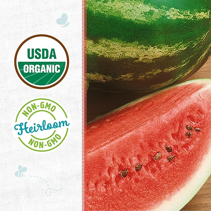 Back to The Roots 100% Organic Heirloom Seeds - Large Watermelon Fruit Value Pack (3.4g Total)