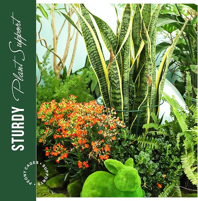 LEOBRO 12PCS Plant Supports, Peony Cages and Supports, Plant Stakes, Plant Support Stakes for Indoor Plants, Outdoor Plants, Monstera Hydrangea Support Cage, 10" W x 15.8" H