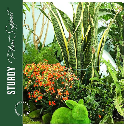 LEOBRO 12PCS Plant Supports, Peony Cages and Supports, Plant Stakes, Plant Support Stakes for Indoor Plants, Outdoor Plants, Monstera Hydrangea Support Cage, 10" W x 15.8" H