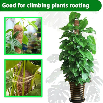 Moss Pole, 2Pack 21 Inch Plant Support Stakes for Indoor Plants, Monstera Plant Support Stakes, 37 Inch Tall Coir Plant Pole Sticks for Potted Plants, Pothos, Philodendron