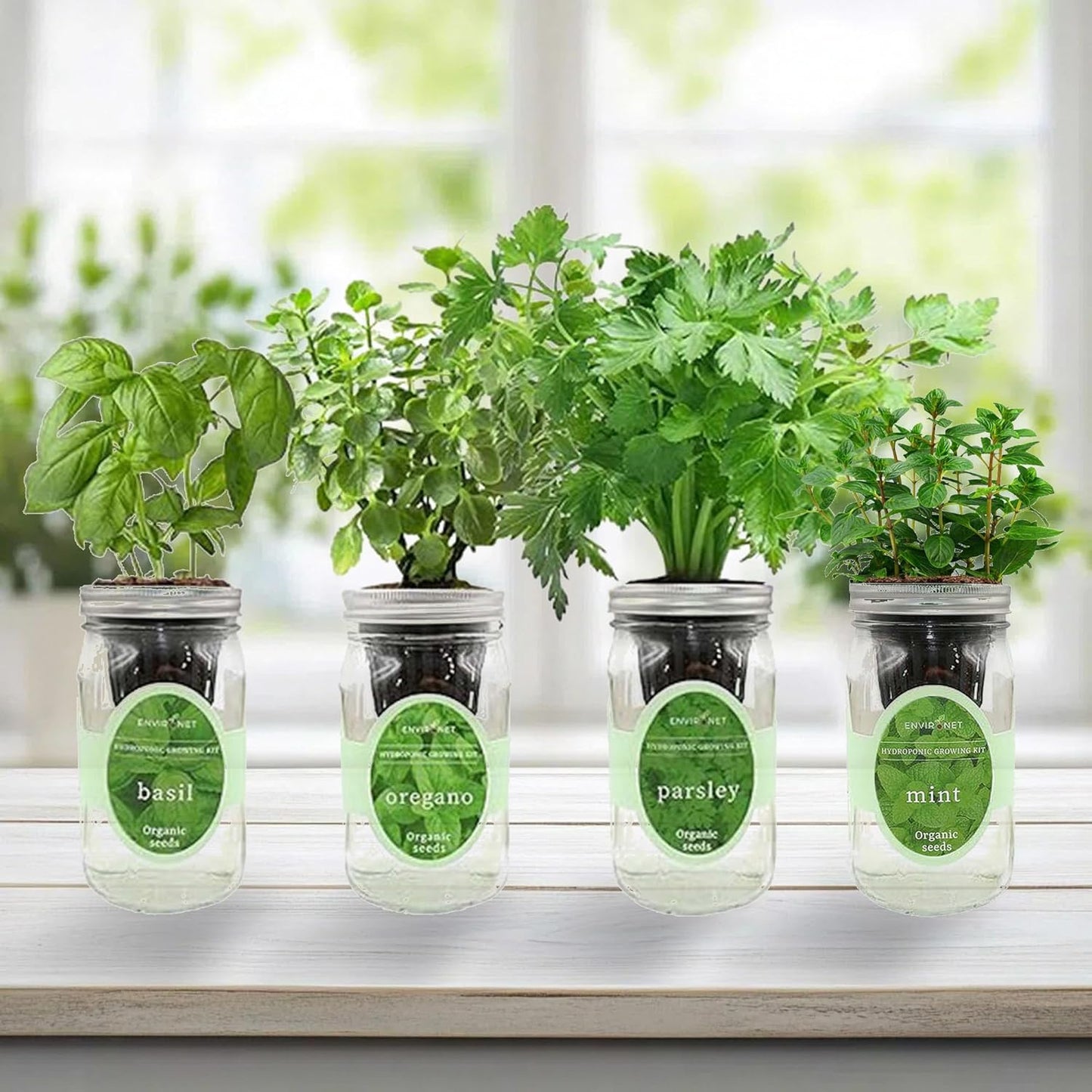 Hydroponic Herb Growing Kit Set, Self-Watering Mason Jar Herb Garden Starter Kit Indoor, Grow 4 Kinds of Herbs from Seeds (Basil, Mint, Parsley & Oregano)