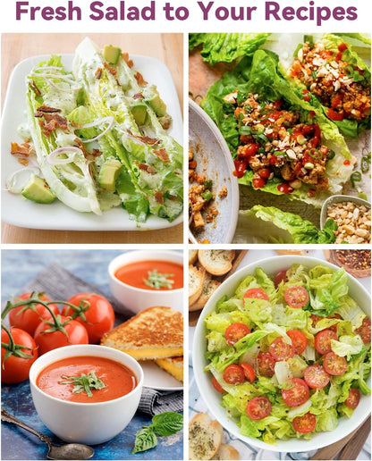 Salad Seed Pod Kits for AeroGarden, 24-Pods Ahopegarden, iDOO Hydroponics Growing System Herb Garden, 400+ Seeds, Including American Fast Lettuce, Buttercrunch Lettuce, Red Cherry Tomato