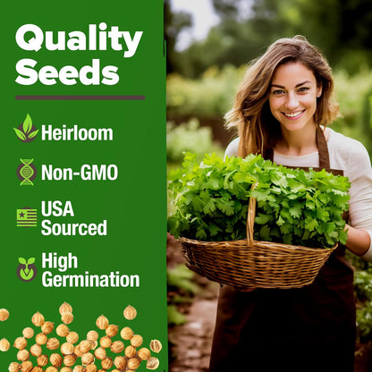 HOME GROWN 𝗨𝗦𝗔 𝗣𝗥𝗘𝗠𝗜𝗨𝗠 1000+ Cilantro Seeds for Planting Indoors or Outdoors - Non-GMO Heirloom Herbs, Coriander Plant Seeds, Herb Seeds Collection for Herb Garden (Coriandrum sativum)