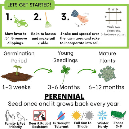 Flawn Seed Kits 2.2 oz Micro Clover Seed, Organic Coated, Eco-Friendly, Low Growing, Low Maintenance, Lawn Alternative, Compostable Pouch, Over-Seed up to 500 Sqft
