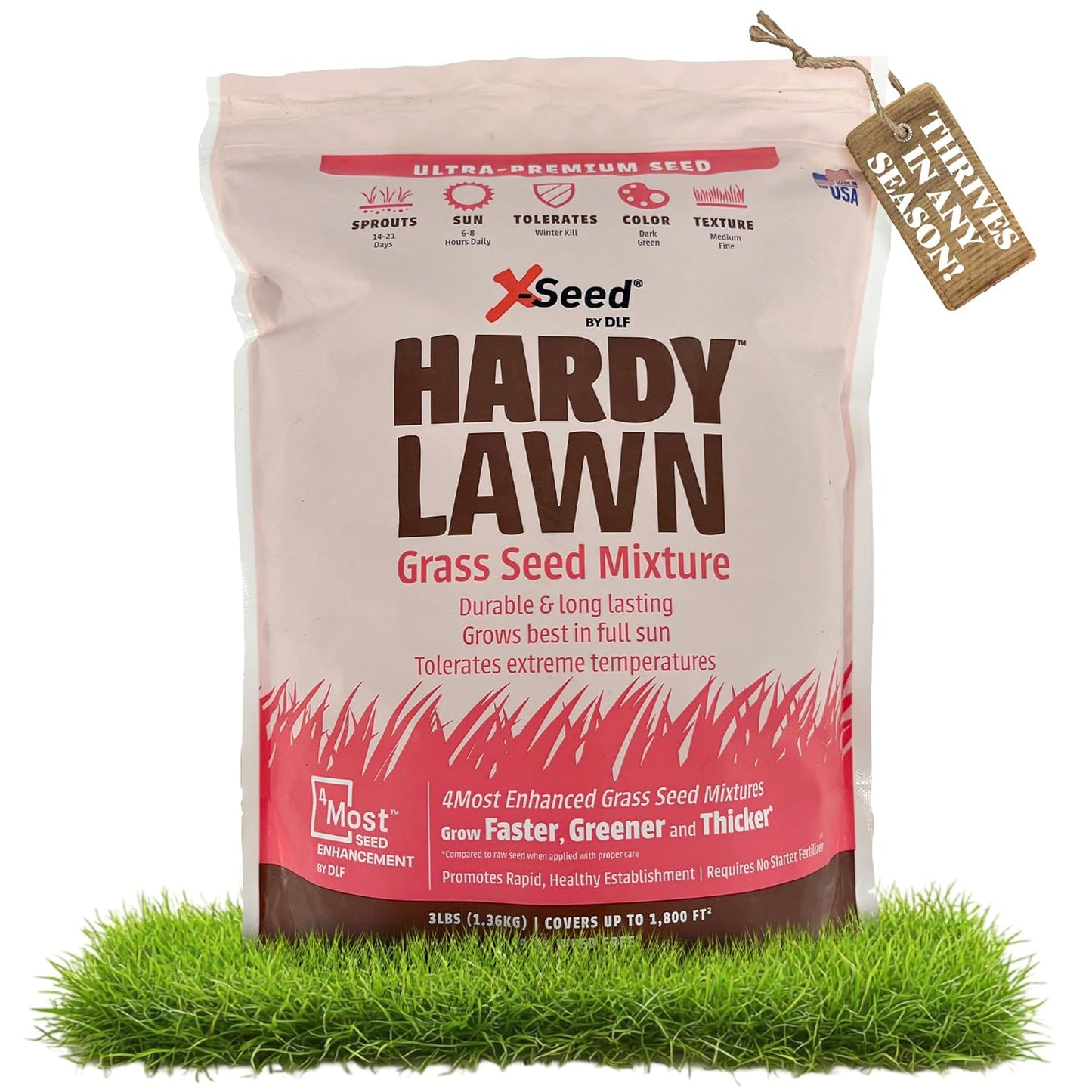 X-Seed Hardy Lawn Grass Seed Mixture - Durable, Long-Lasting Lawn Solution for Full Sun, Withstands Extreme Temperatures & Heavy Traffic, Ideal for Backyards, 3 lbs.