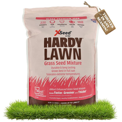 X-Seed Hardy Lawn Grass Seed Mixture - Durable, Long-Lasting Lawn Solution for Full Sun, Withstands Extreme Temperatures & Heavy Traffic, Ideal for Backyards, 3 lbs.