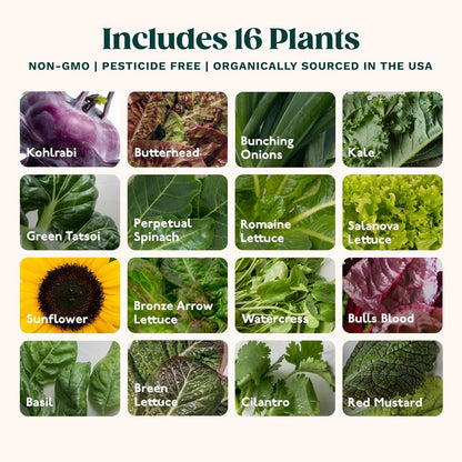 Gardyn Studio Vertical Hydroponics Growing System Kit - 16 Non-GMO Plants, Herbs, Vegetables - Tower Garden - Hydroponic Herb Garden Planter Indoor Kit - Indoor Gardening System with LED Grow Lights