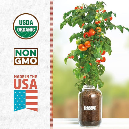 Back to the Roots Cherry Tomato Organic Windowsill Planter Kit - Grows Year Round, Includes Everything Needed For Planting