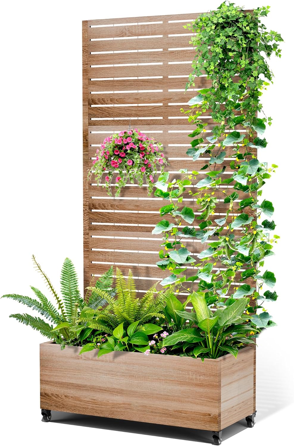 Metal Raised Garden Bed with Trellis, 2-in-1 Planter Box & Privacy Screen for Climbing Plants, Outdoor Standing Flower Bed with Drainage Holes, 35.4" L x 15.7" W x 70.1" H, Cut Oak Grain