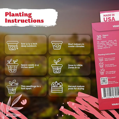 KVITER 30 Guandules Pigeon Peas Seeds for Planting (Cajanus Cajan) – a.k.a Gandules Goya, Gungo Peas, Congo Pea Non GMO & Organic – Heirloom Vegetable Seeds to Plant in Outdoor Garden & Trellises