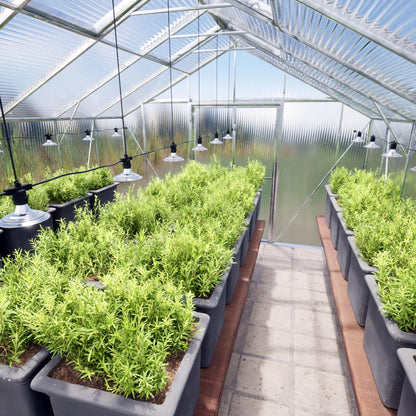 12-Light Outdoor LED Grow Lights – Waterproof Full Spectrum Greenhouse Lights for Plants, 41FT Adjustable String Lights with 576 LEDs, E26 Base Bulbs, IP44 Waterproof for Garden, Farm, Yard