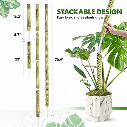 DUSPRO Stackable Mesh Moss Pole for Plants Monstera Potted Plant Stakes for Indoor Plants Extendable Plant Pole Moss Sticks for Plants Climbing Vine Supporting Monstera Trellis 4Pack 71''