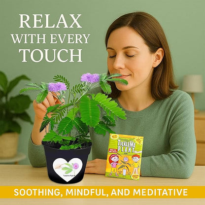 TickleMe Plant Seeds for Indoor Planting (2-Pack) – Interactive Party Favor | Leaves Close When Touched, Reopen in Minutes – Easy Indoor House Plant Seeds, Can Flower, Includes 10 Fun Activities