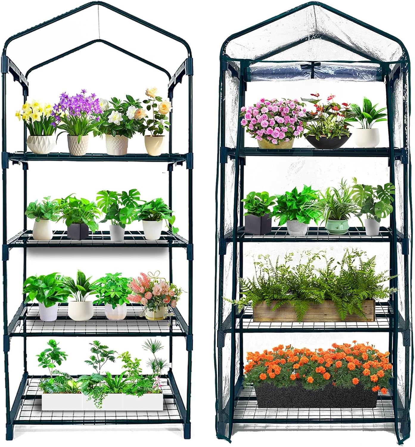 GreenGiggle 4 Tier Mini Indoor Outdoor Greenhouse,27"x19"x62" Greenhouses with PVC Cover and Roll-Up Zipper Door,Plastic Green House for Inside Grow Tent&Garden greenhouses for Outdoors