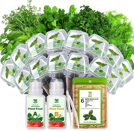 Herb Seed Pod Kit, Grow Anything Kit for All Hydroponics Growing Systems, 14 Pods with 600+ Seeds of Genovese Basil, Thyme, Mint, Cilantro, Curly Parsley and Dill, Grow Your Own Herb Garden at Home