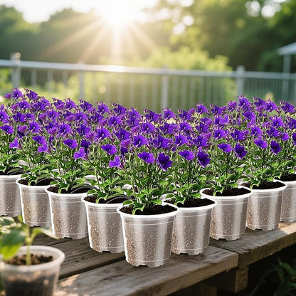 Augshy 36 Pack 6/5/4 Inch Clear Plastic Nursery Pots with Drainage Holes for Plants Seed Starting Pot Indoor Outdoor Garden