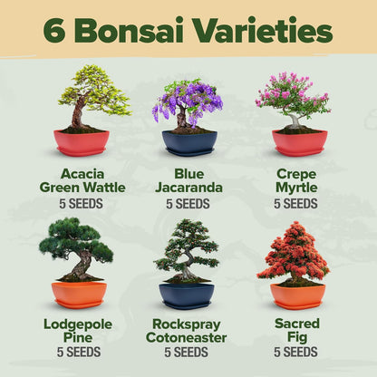 HOME GROWN 𝗨𝗦𝗔 Bonsai Tree Kit – 6 Heirloom Varieties with Unique Pots – DIY Bonsai Starter Kit for Adults & Beginners – Christmas Gift for Men Women Gardeners Plant Lovers – Indoor Growing Kit