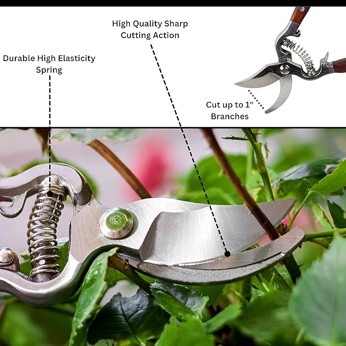 ATE Pro. Tools USA - Bypass Garden Pruning Shears - Heavy Duty, Professional Garden Shears, Wooden Handle, Stanless Steel, Garden Clippers, Rose Trimmers, Heat Treated, Mirror Polish, 8" Hand Pruners