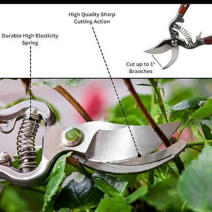 ATE Pro. Tools USA - Bypass Garden Pruning Shears - Heavy Duty, Professional Garden Shears, Wooden Handle, Stanless Steel, Garden Clippers, Rose Trimmers, Heat Treated, Mirror Polish, 8" Hand Pruners