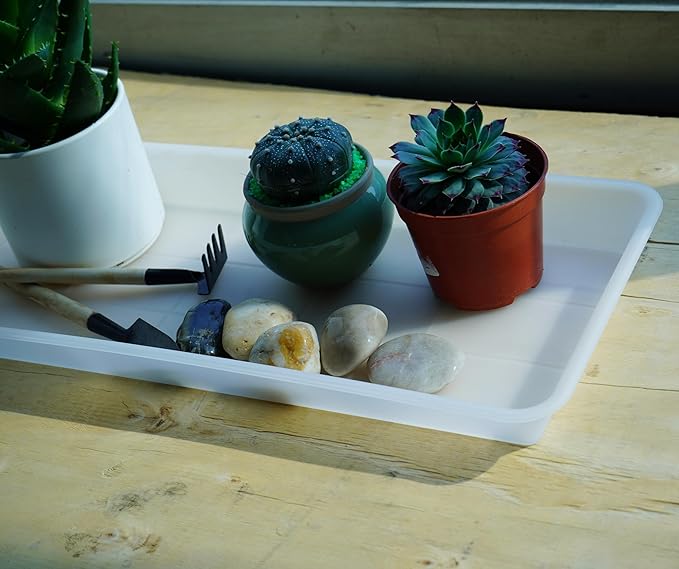 2 Pack of Plastic Plant Tray Saucer Rectangular, Plant Trays Saucers for Indoors Outdoor, Plant Water Drip Tray for Flower Pot Planter, Windowsill Plant Tray (6.5 X 13 Inch, Clear)