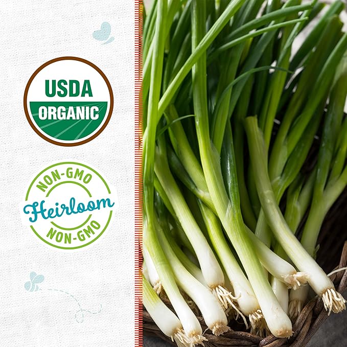 Back to The Roots 100% Organic Heirloom Seeds - Green Onion Value Pack (400mg Total)