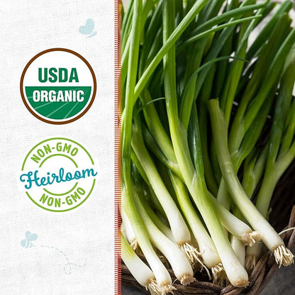 Back to The Roots 100% Organic Heirloom Seeds - Green Onion Value Pack (400mg Total)