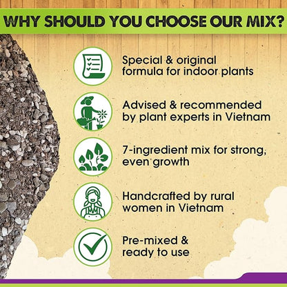 DUSPRO Recycle Pre-Mixed House Plant Soil Aroid Potting Mix 7-in-1 with Coco Coir, Peat Moss, Perlite, Worm Casting, Pumice, Pine Bark & Gypsum, Tropical Potting Mix for Indoor Plants, Herbs 2QRT