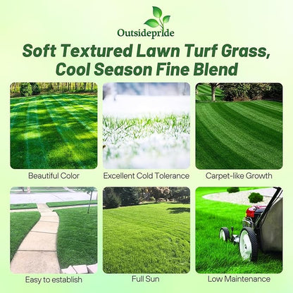 Outsidepride Midnight Kentucky Bluegrass Seed - 5 Lbs. Cold & Drought Tolerant, Sun-Loving Lawn Grass Seed, w/High Traffic Tolerance & Deep Root System, OptiGrowth Coated for Better Establishment